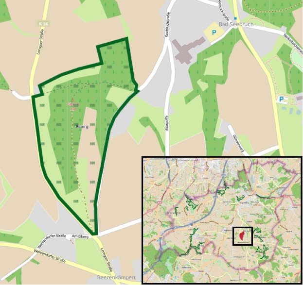Neuer Busbetriebszentrum, Fahrzeugzulassungs- und Führerscheinstelle: Umzug von der Rheinstraße-Industriezone