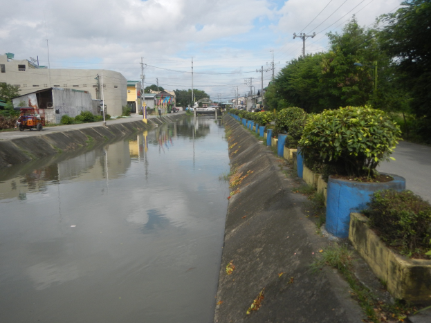 Flutstraße in der Stadtmitte mit Wasser auf der Straße, Vegetation auf der rechten Seite, Fahrzeugen auf der linken Seite, Gebäuden und Strommasten im Hintergrund und einer bewölkten Himmel.