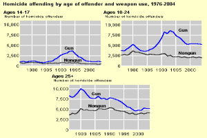 Eine Liniengrafik, die die Tötungsdelikte nach Alter des Täters und Waffengebrauch von 1976 bis 2004 zeigt, mit begleitendem Text.