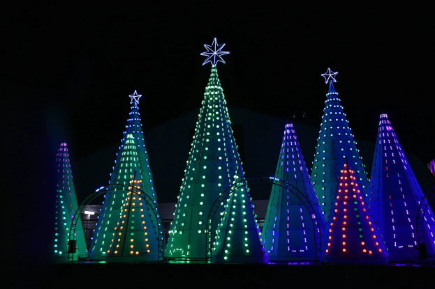 Eine Gruppe von Weihnachtsbäumen, die mit bunten Lichtern und Sternen geschmückt sind und eine festliche Atmosphäre schaffen.