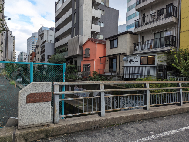 Stadtstraße mit hohen Gebäuden, eine Brücke über einen Fluss, Geländer, Pflanzen, Bäume und ein bewölkter Himmel über einer Straße.