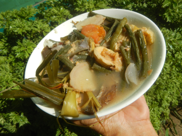 Eine Person hält eine Schüssel mit dampfender Gemüsebrühe, die sichtbar Karotten, Sellerie und Zwiebeln enthält, sowie einige Pflanzen im Hintergrund.