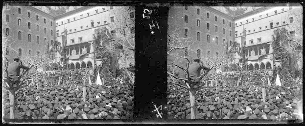 Ein Schwarz-Weiß-Foto einer großen Menschenmenge vor einem Gebäude mit Fenstern, Bäumen und Fahnen im Hintergrund, einige halten Schilder und Banner, was auf eine Demonstration in einer Stadt hinweist.