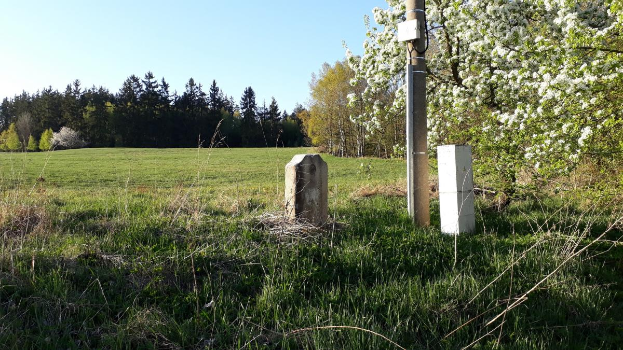 Ein grasbewachsener Platz mit einem zentralen Baum, umgeben von Bäumen und einem klaren blauen Himmel, mit einem Pfahl und zwei Betonblöcken im Vordergrund, wahrscheinlich Teil eines Denkmals.