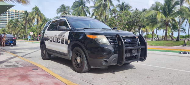 Ein Polizeiwagen am Straßenrand geparkt, umgeben von Menschen, Fahrrädern, Gras, Bäumen, Gebäuden und einem klaren blauen Himmel, mit einem sichtbaren Vorderrad.
