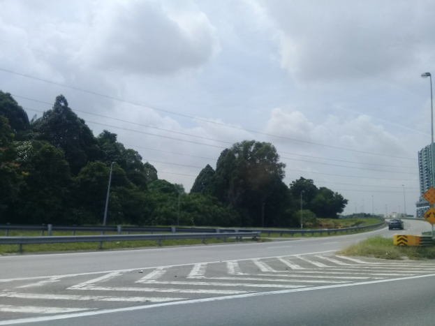 Ein Auto fährt an einer Zebr√∞berquerung auf einer von Gras, Geländern, Laternen, Schildern, Bäumen, Gebäuden und einer wolkigen Himmel umgebenen Straße vorbei.